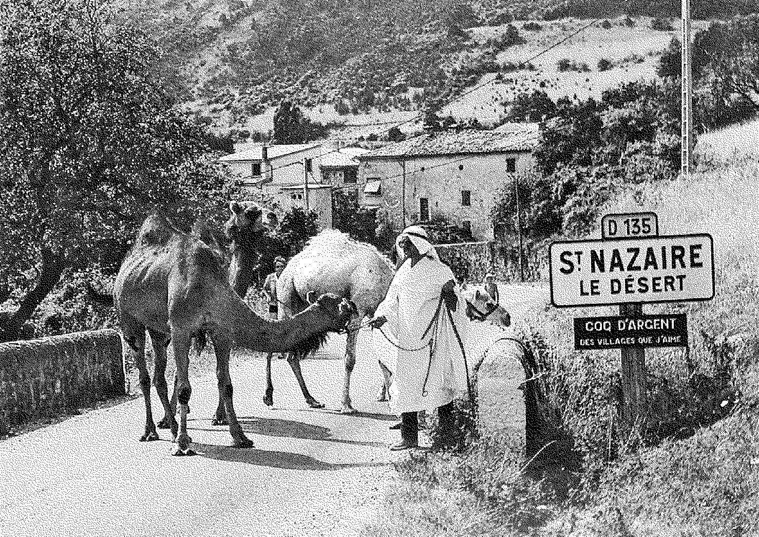 Carte postale chameaux, Saint-Nazaire-le-Désert