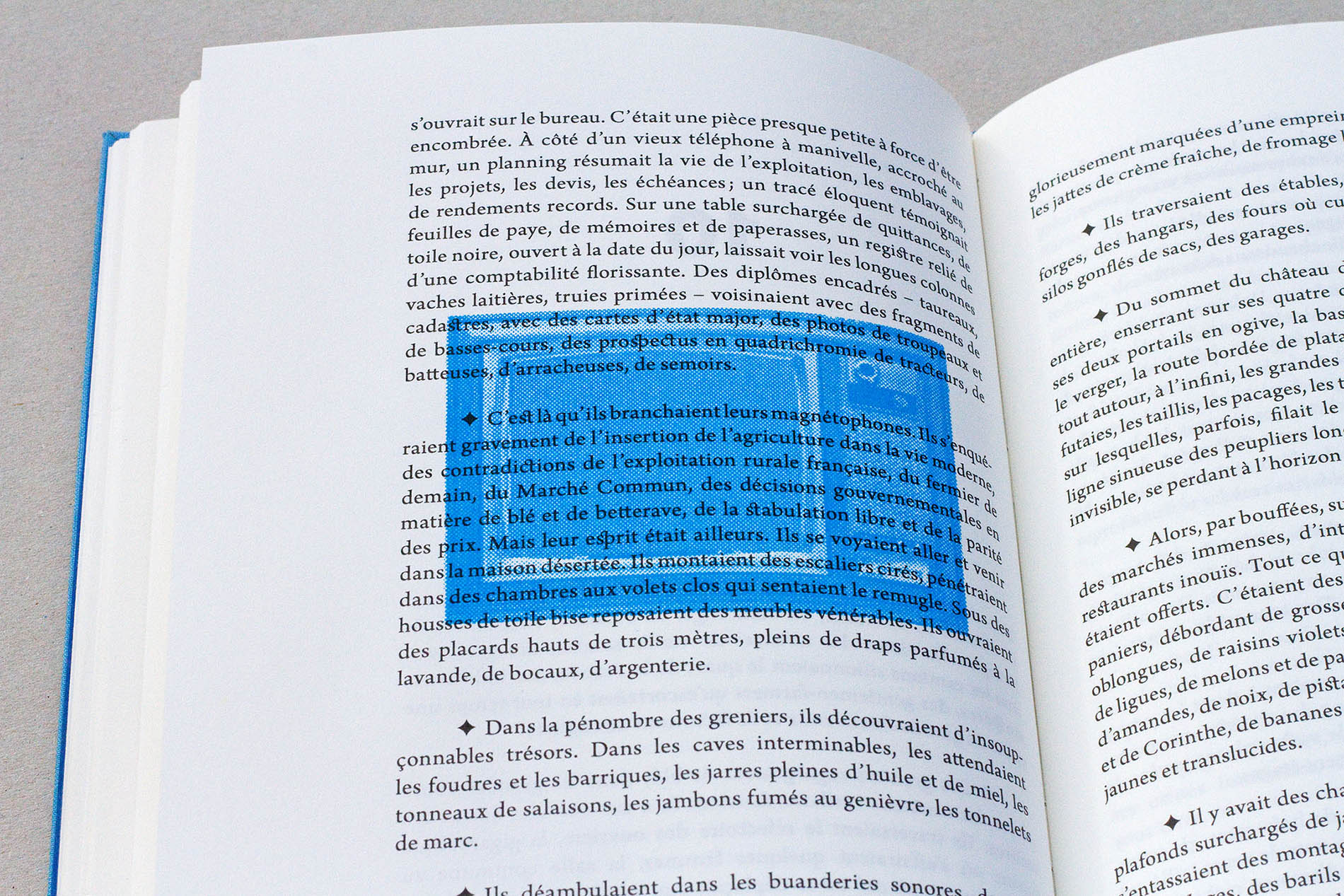 détail image télévision sérigraphiée en bleu, édition Les choses de Georges Perec