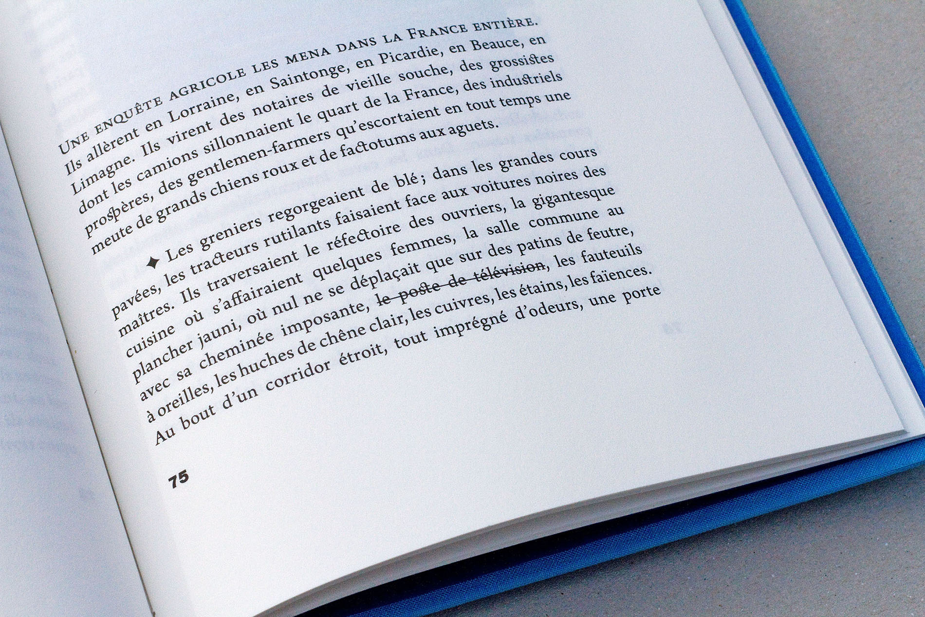 détail texte barré, édition Les choses de Georges Perec