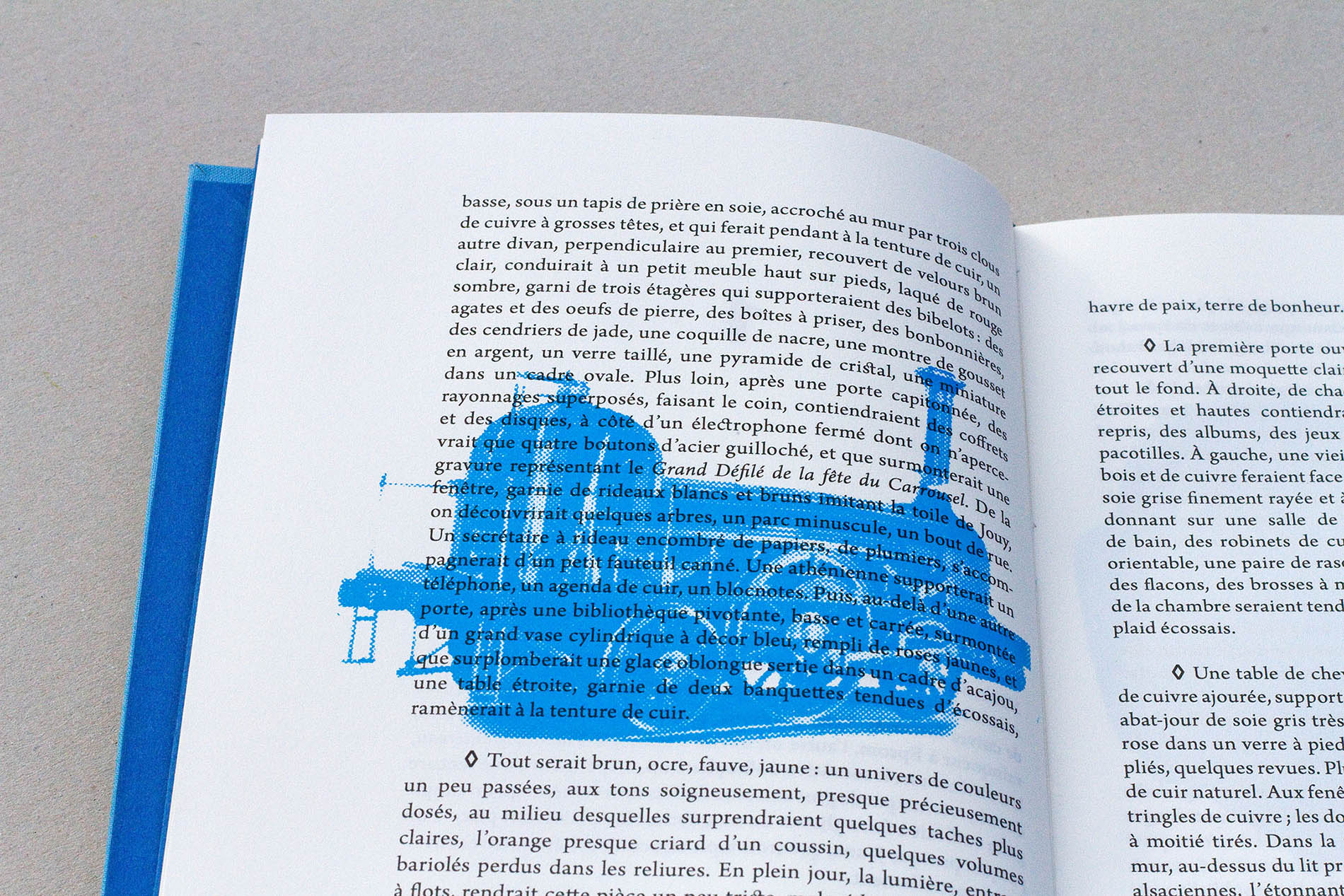 détail image sérigraphiée en bleu, édition Les choses de Georges Perec